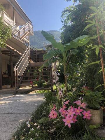 Фотографии Гостевой дом Guest House Sunrise г. Гагра Гагрский район (Абхазия) №4 Фото Гостевой дом Guest House Sunrise г. Гагра 4