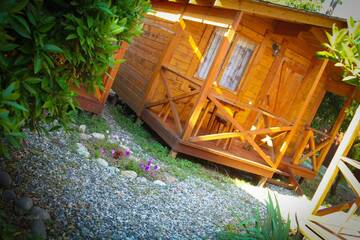 Фотографии Дома для отпуска Holiday home Teremki г. Гагра Гагрский район (Абхазия) №5 Фото Дома для отпуска Holiday home Teremki г. Гагра 5
