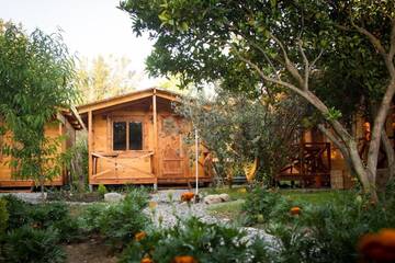 Фотографии Дом для отпуска Дома для отпуска Holiday home Teremki г. Гагра Гагрский район (Абхазия) №56 Фото номера Дом для отпуска Дома для отпуска Holiday home Teremki г. Гагра 56