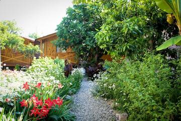 Фотографии Дом для отпуска Дома для отпуска Holiday home Teremki г. Гагра Гагрский район (Абхазия) №14 Фото номера Дом для отпуска Дома для отпуска Holiday home Teremki г. Гагра 14