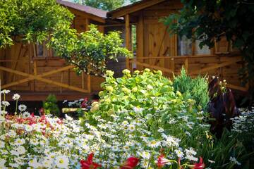 Фотографии Дом для отпуска Дома для отпуска Holiday home Teremki г. Гагра Гагрский район (Абхазия) №15 Фото номера Дом для отпуска Дома для отпуска Holiday home Teremki г. Гагра 15