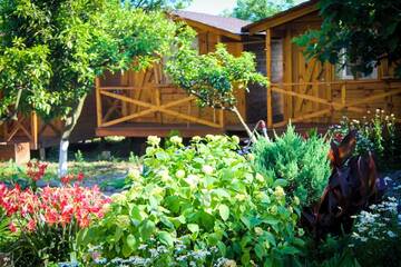 Фотографии Дом для отпуска Дома для отпуска Holiday home Teremki г. Гагра Гагрский район (Абхазия) №16 Фото номера Дом для отпуска Дома для отпуска Holiday home Teremki г. Гагра 16
