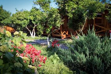 Фотографии Дом для отпуска Дома для отпуска Holiday home Teremki г. Гагра Гагрский район (Абхазия) №13 Фото номера Дом для отпуска Дома для отпуска Holiday home Teremki г. Гагра 13