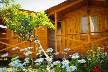 Фотографии Дом для отпуска Дома для отпуска Holiday home Teremki г. Гагра Гагрский район (Абхазия) №84 Фото номера Дом для отпуска Дома для отпуска Holiday home Teremki г. Гагра 84