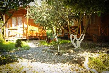 Фотографии Дом для отпуска Дома для отпуска Holiday home Teremki г. Гагра Гагрский район (Абхазия) №92 Фото номера Дом для отпуска Дома для отпуска Holiday home Teremki г. Гагра 92