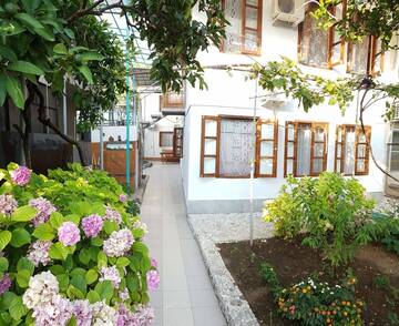 Фотографии Гостевой дом Guest house Nikolay г. Гагра Гагрский район (Абхазия) №1 Фото Гостевой дом Guest house Nikolay г. Гагра 1