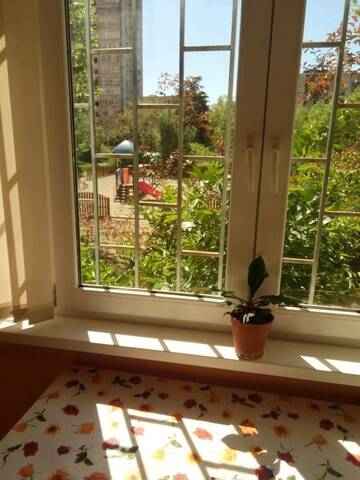 Фотографии Апартаменты Apartment on Abazgaa 53/4 г. Гагра Гагрский район (Абхазия) №4 Фото Апартаменты Apartment on Abazgaa 53/4 г. Гагра 4