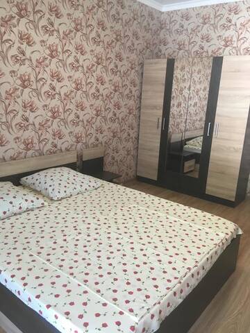 Фото номера Большой двухместный номер с 1 кроватью Гостевой дом Davido Hotel г. Гагра 7