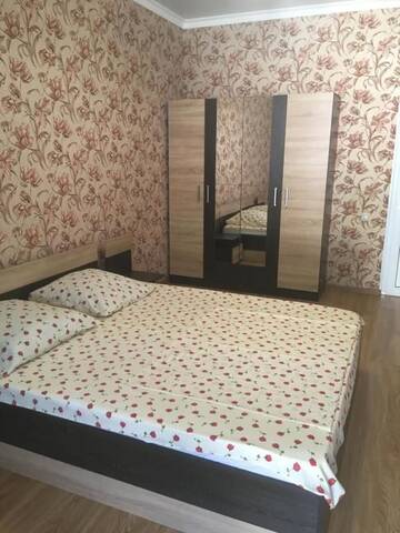 Фото номера Большой двухместный номер с 1 кроватью Гостевой дом Davido Hotel г. Гагра 21