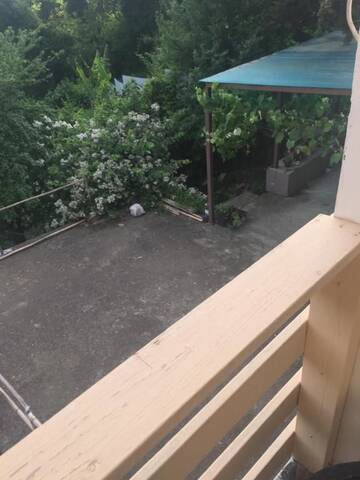 Фото номера Дом для отпуска Дома для отпуска Holiday Home Otradnoye г. Гагра 45