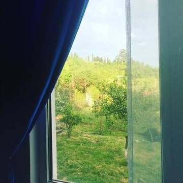 Фото номера Дом для отпуска Дома для отпуска Holiday Home Otradnoye г. Гагра 25