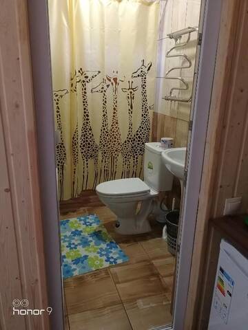 Фото номера Двухместный номер с двуспальной кроватью и дополнительной кроватью Гостевой дом Гостевой дом Орхидея г. Гагра 5