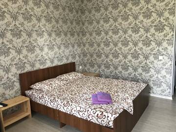 Фото номера Двухместный номер Делюкс с 1 кроватью и балконом Гостевой дом Guest House REGAN г. Гагра 4