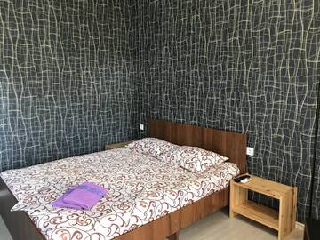 Фото номера Двухместный номер Делюкс с 1 кроватью и балконом Гостевой дом Guest House REGAN г. Гагра 6