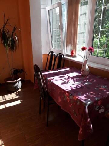 Фото номера Апартаменты Апартаменты Apartment on Abazgaa 53/4 г. Гагра 21