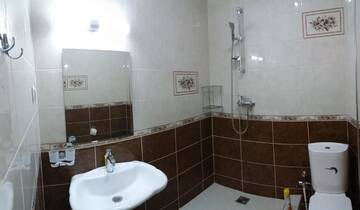Фото номера Четырехместный номер с видом на горы Гостевой дом Guest House Polet Chayki г. Гагра 4