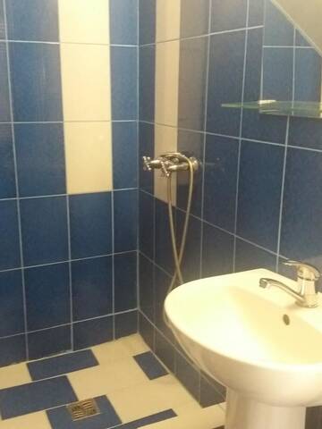 Фото номера Улучшенные апартаменты Дома для отпуска Aurelia Guest House г. Гагра 7